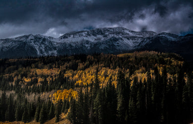 Mt Wilson First Snow