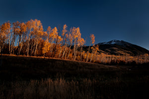 Beckwith Mountain  Kebler Pass  Crested Butte  Colorado,