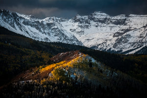 Mt Sneffels Aspen Blaze