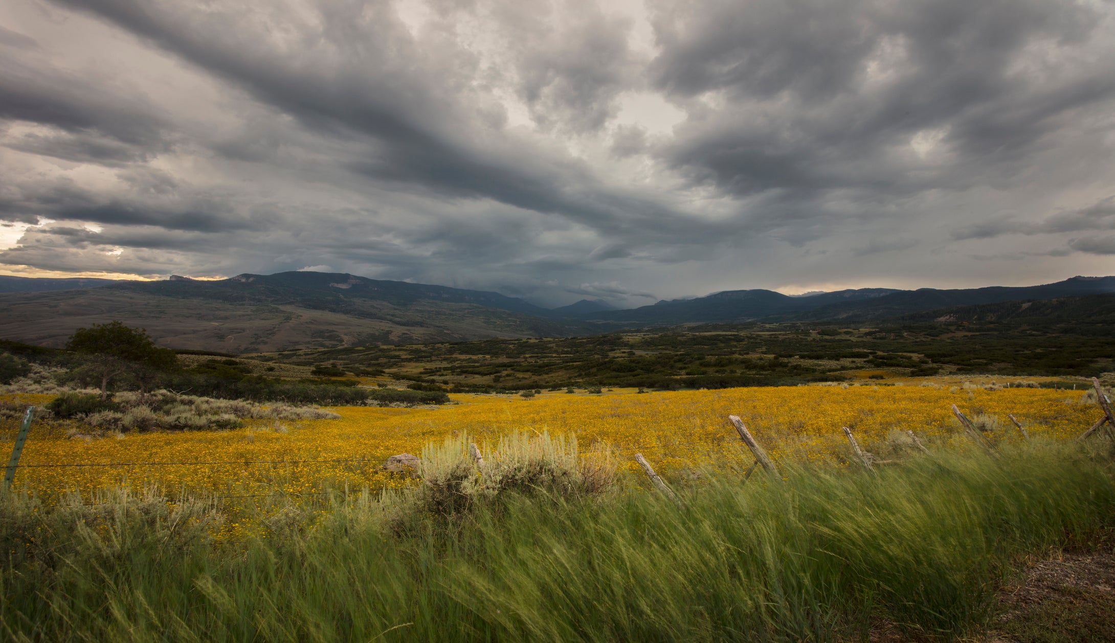 Owl Creek Pass Storm Clouds