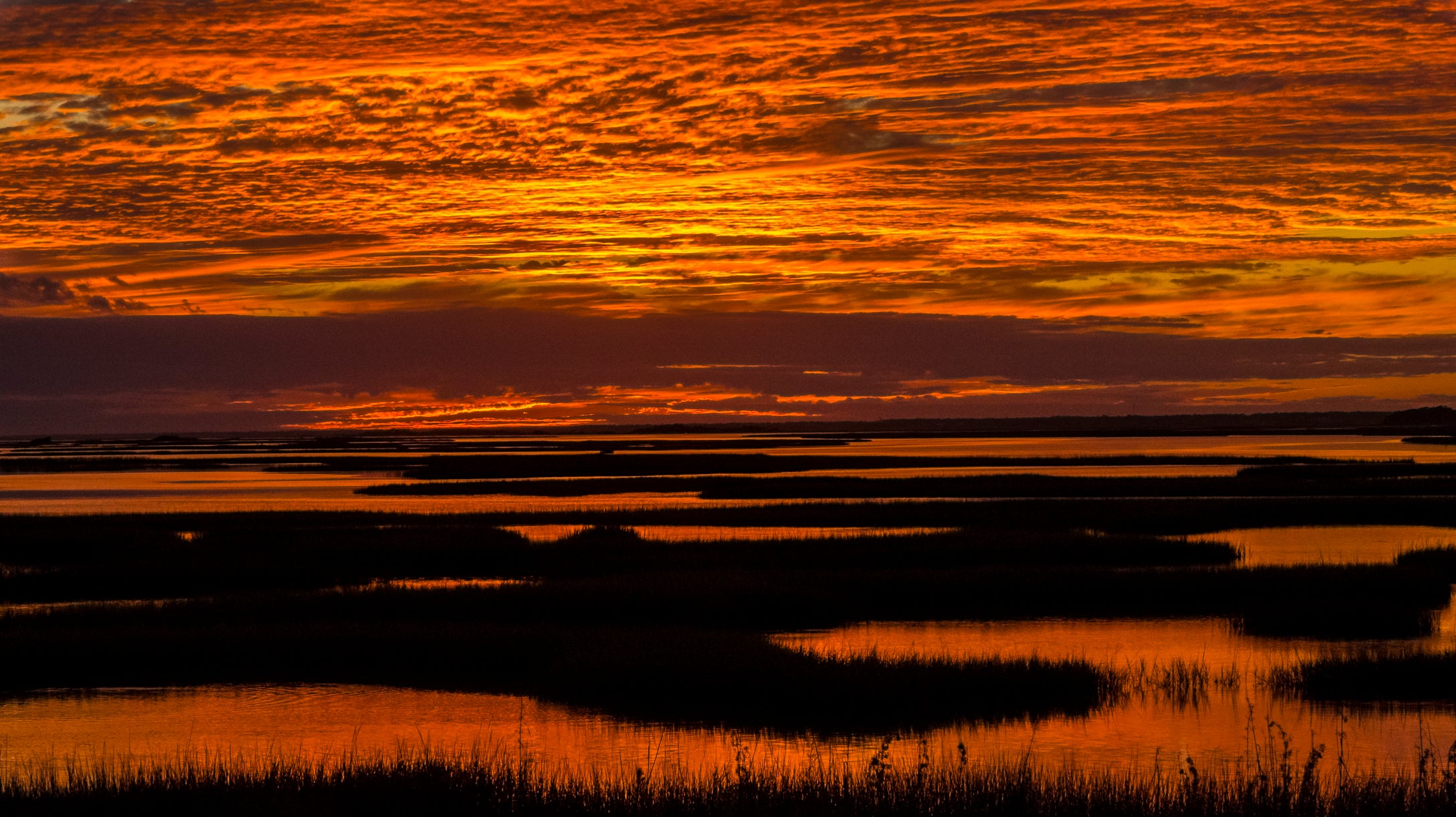 Outer Banks Marshlands   North Carolina