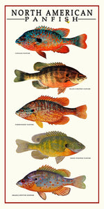 North American Panfish Poster Art