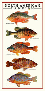 North American Sunfish poster Art