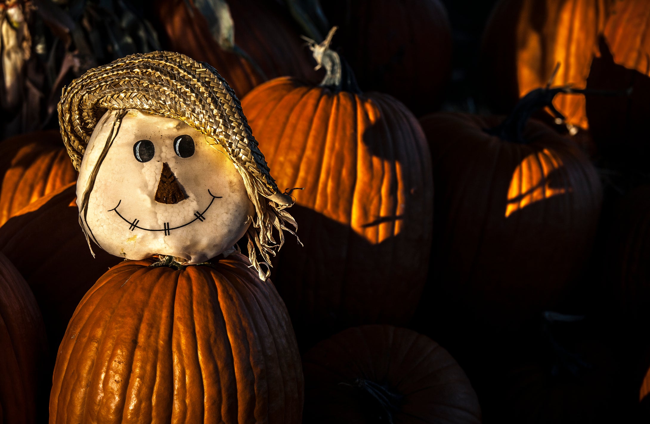 Pumpkin Head