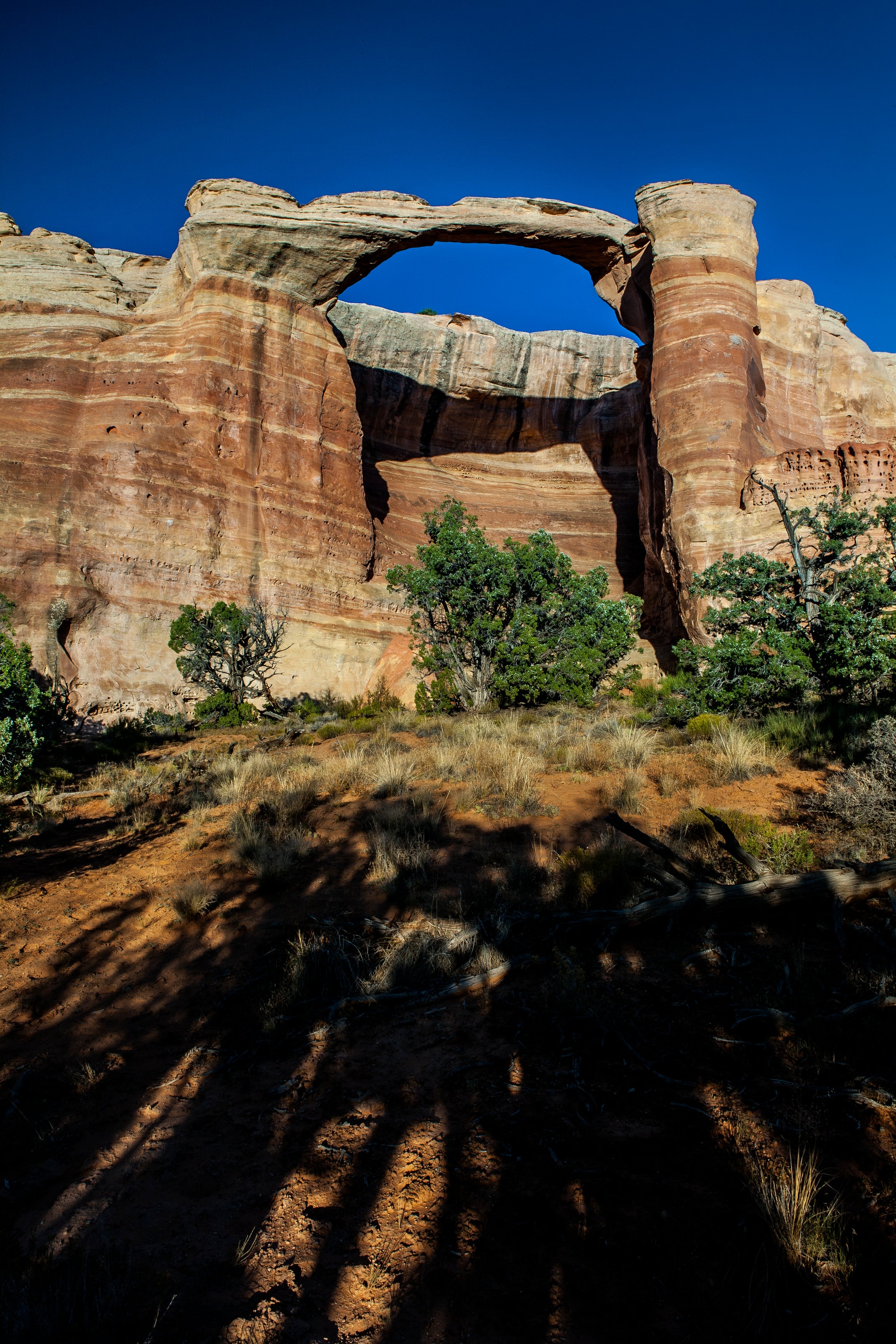 Rattlesnake Arch  Fruita Colorado