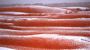 Red Sands  First Snow