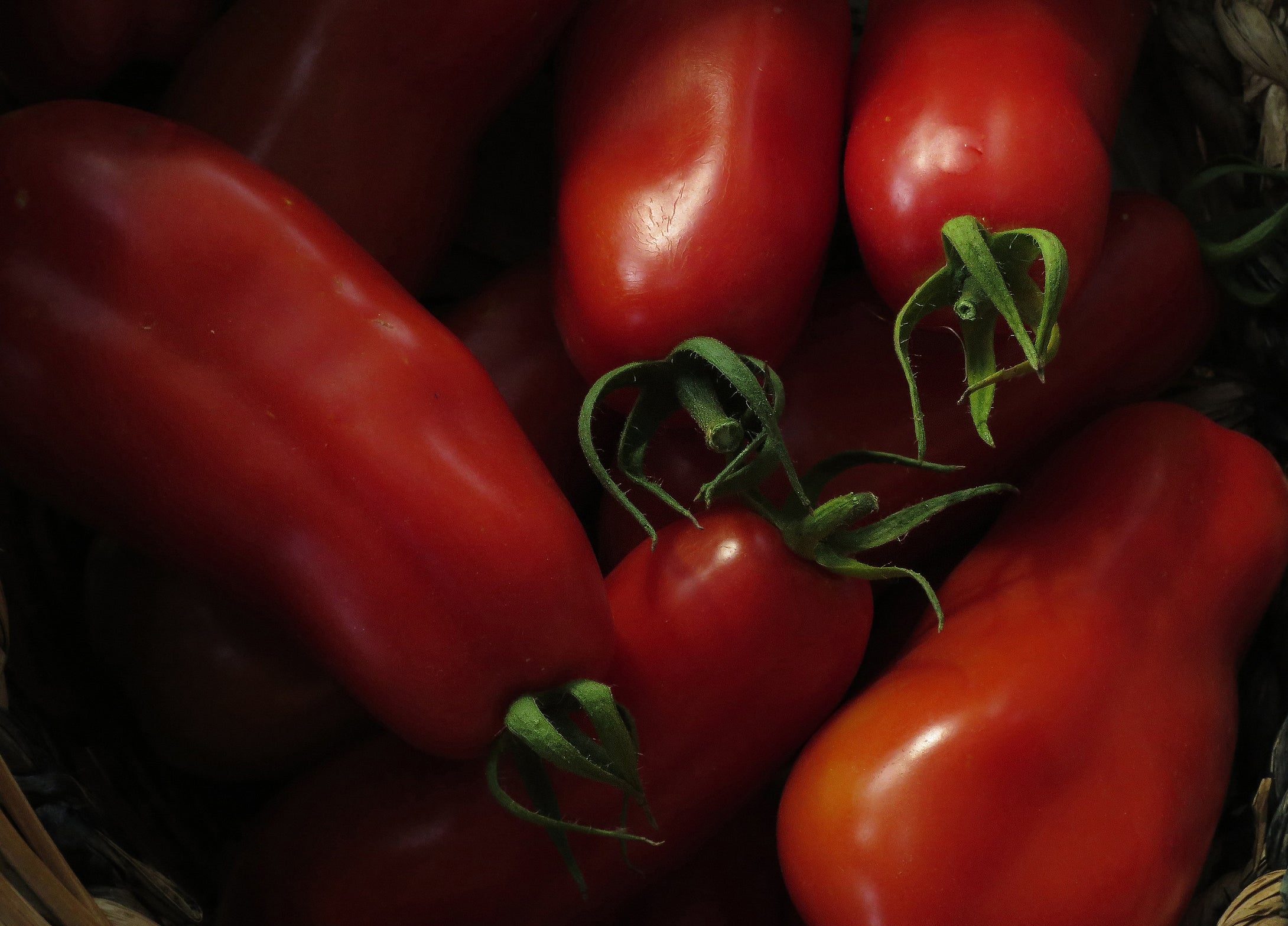 San Marzano Heirloom Tomatoes Garden Harvest