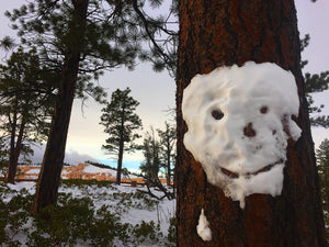 Snowball Smiley Face  Bryce Canyon National Park  Utah