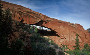 Snake Bridge    New Mexico