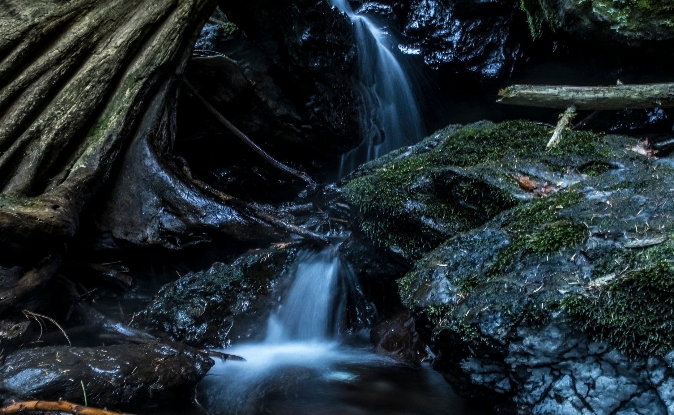 Graves Creek Quinault Valley Washington