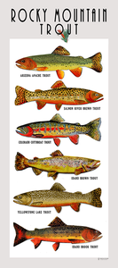 Rocky Mountain Trout Poster Art