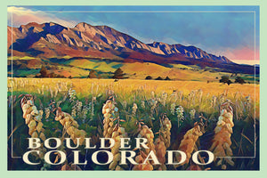 Yucca Blooms  Boulder Colorado Flatirons