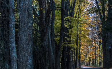 Vermont Country Road