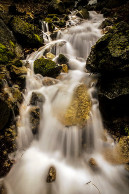 Yosemite National Park