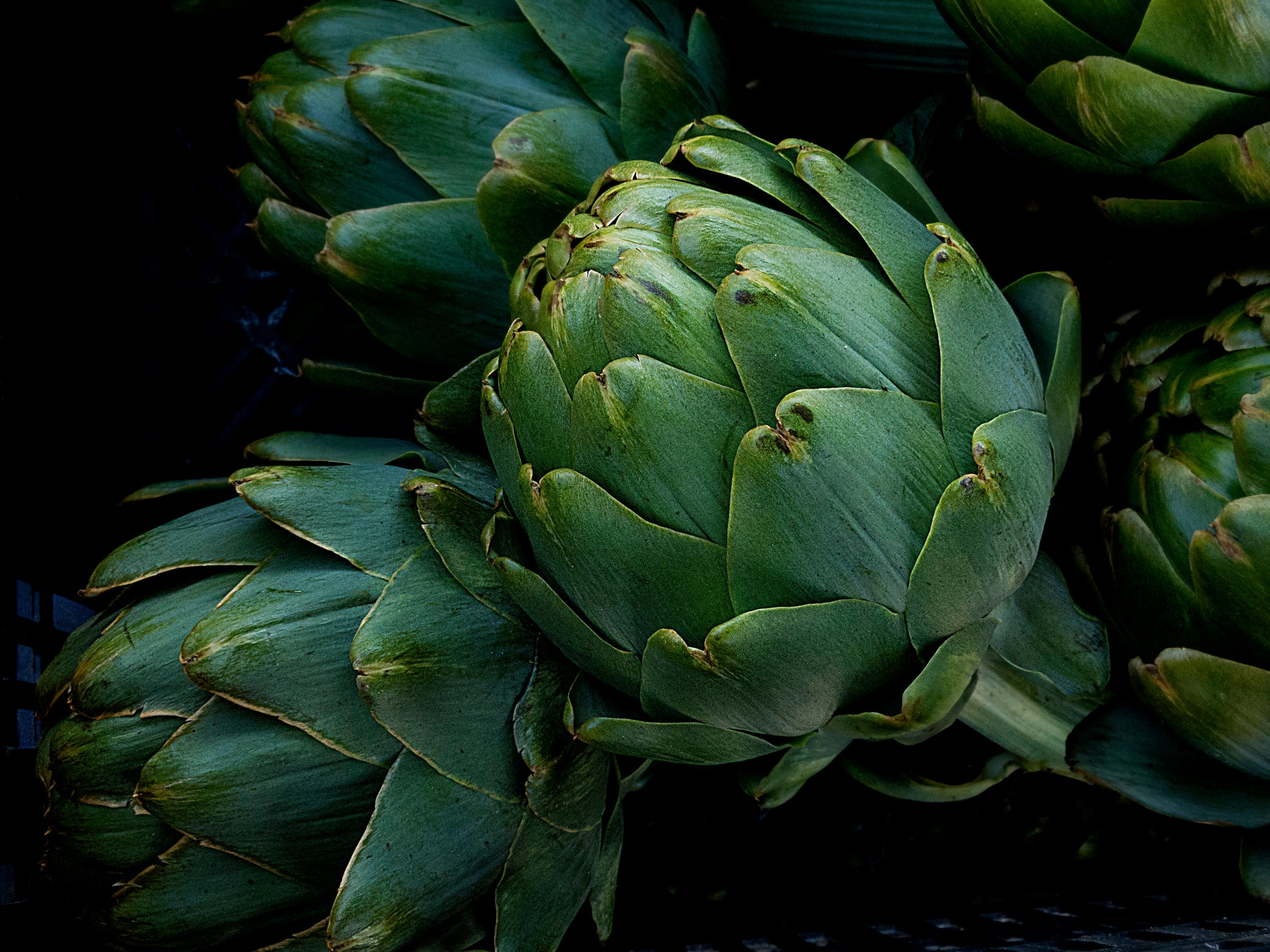 Artichoke Capital  Castroville California