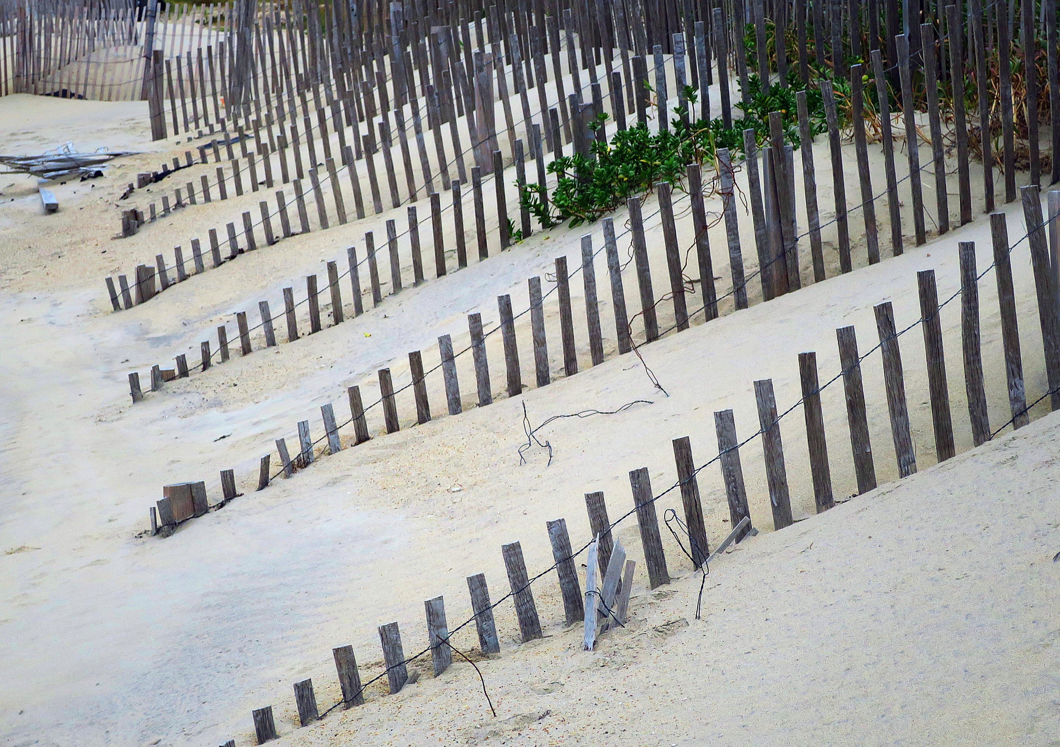 Drifting Sands  Outer Banks, North Carolina