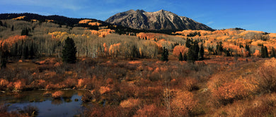 Beckwith Mountain  Horse Ranch Park Colorado