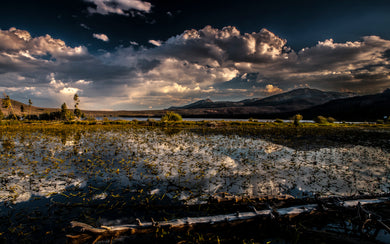 Big Creek Reservoir Lily Pond Reflections