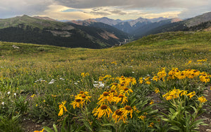 Black Bear Pass  Summer Storms