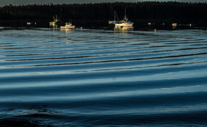 Old Quarry Blue Waves  Deer Isle    Maine