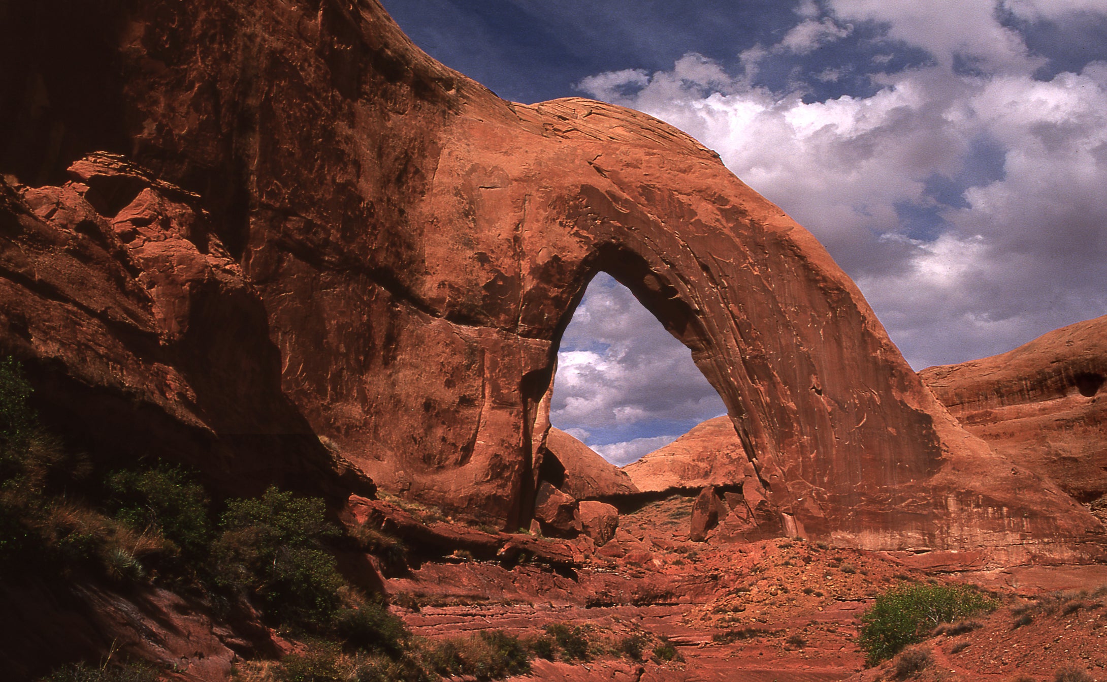 Majestic Broken Bow Arch  Escalante Wilderness Utah