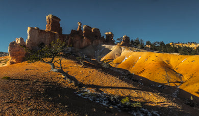 Bryce Canyon National Park   Gold Sands