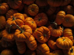 Cinderella Pumpkins