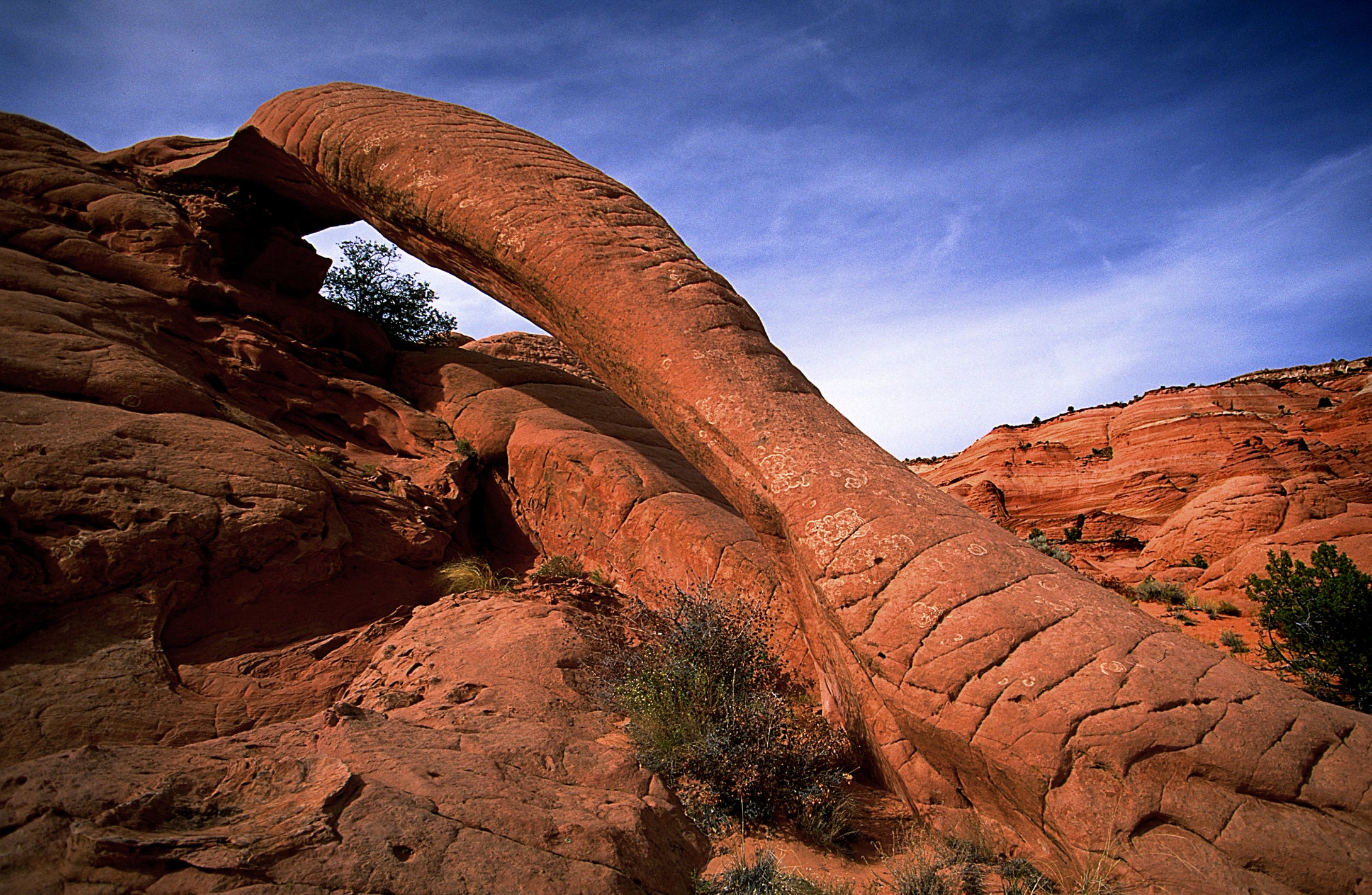 Cobra Arch   Paria Plateau   Arizona