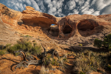 Colannade Arch