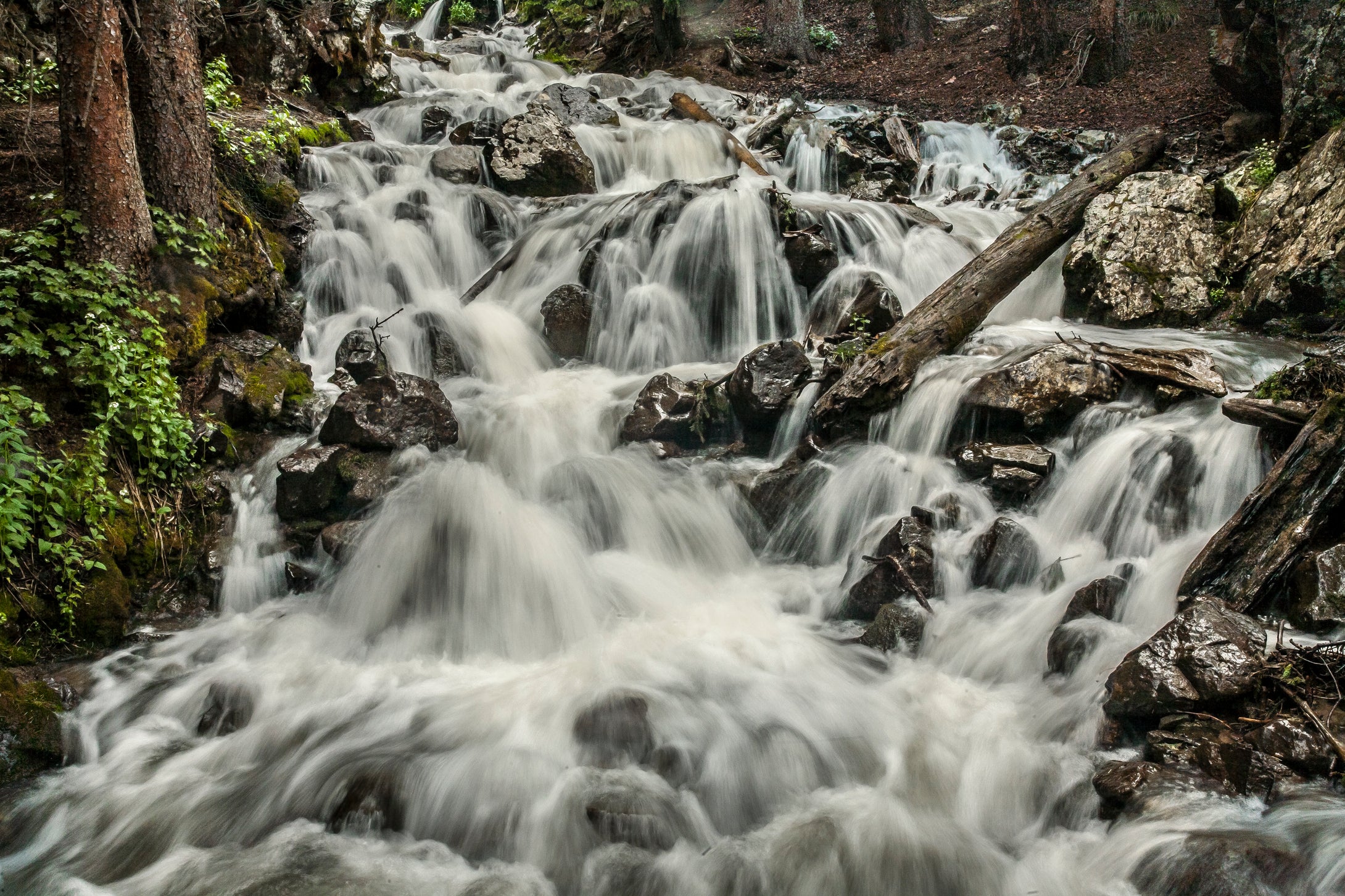 Colorado Cascading Waters - Engineer Pass