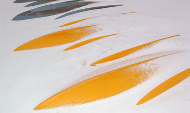 Snow Coverd Colorful Kayaks