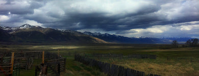 Sangre de Cristo mountains      Colorado