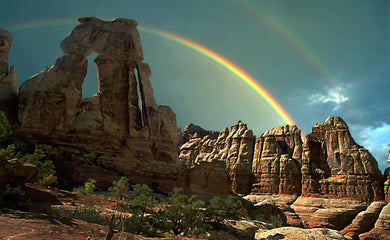 Druid Arch  Canyonlands National Park   Utah