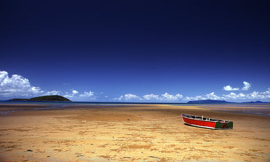 Low Tide   Abel Tasman National Park  South Island, New Zealand