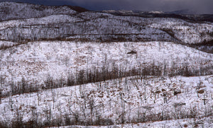 Mesa Verde National Park  After The Fire