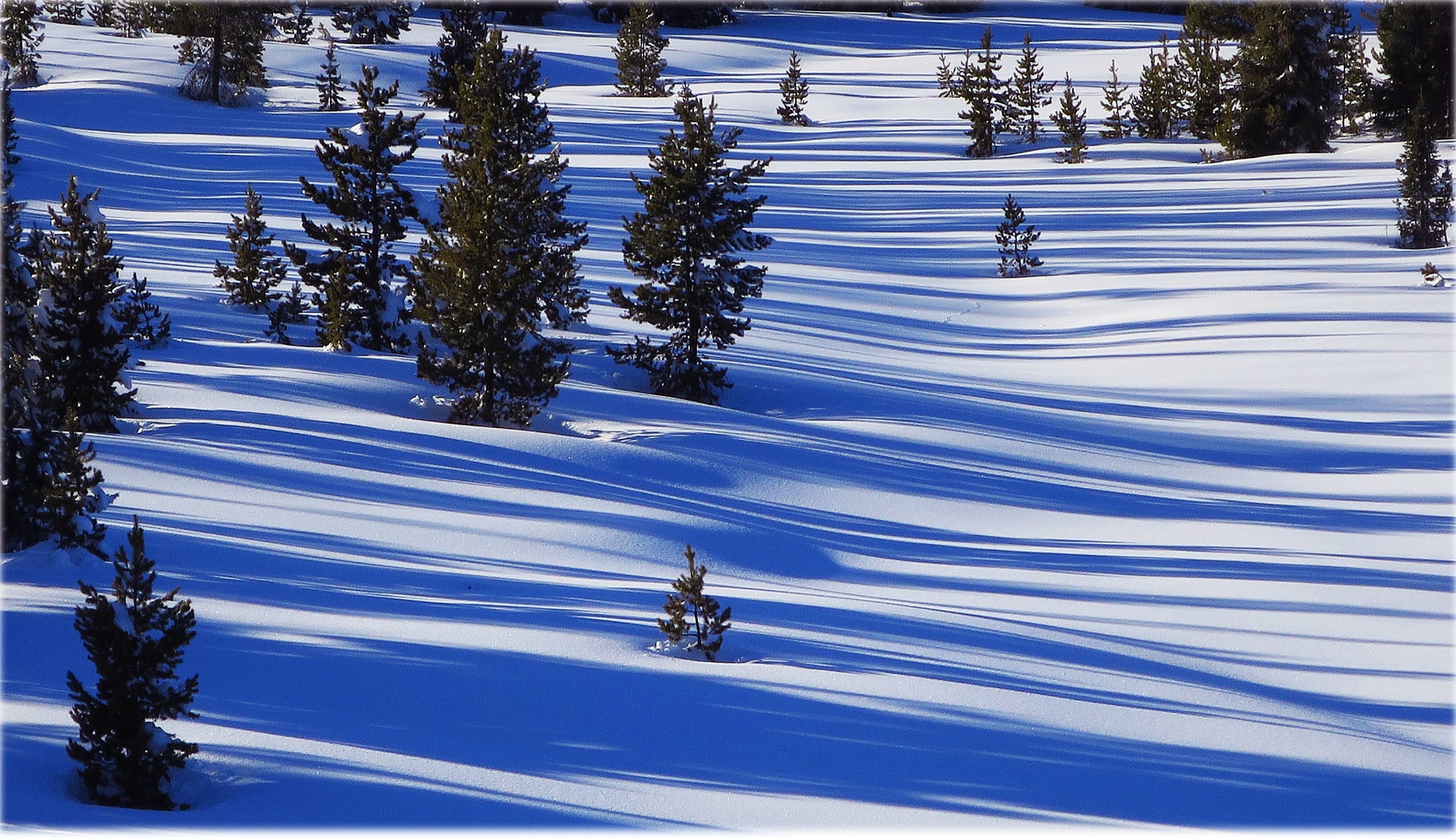 Snowy Shadow Patterns