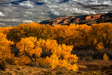 Rattlesnake Canyon, Fruita Colorado
