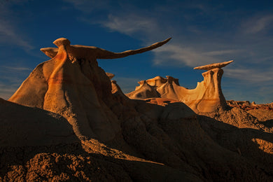 Spirit Wings  - Bisti Badlands  -  New Mexico