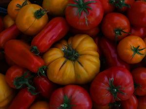 Garden Harvest